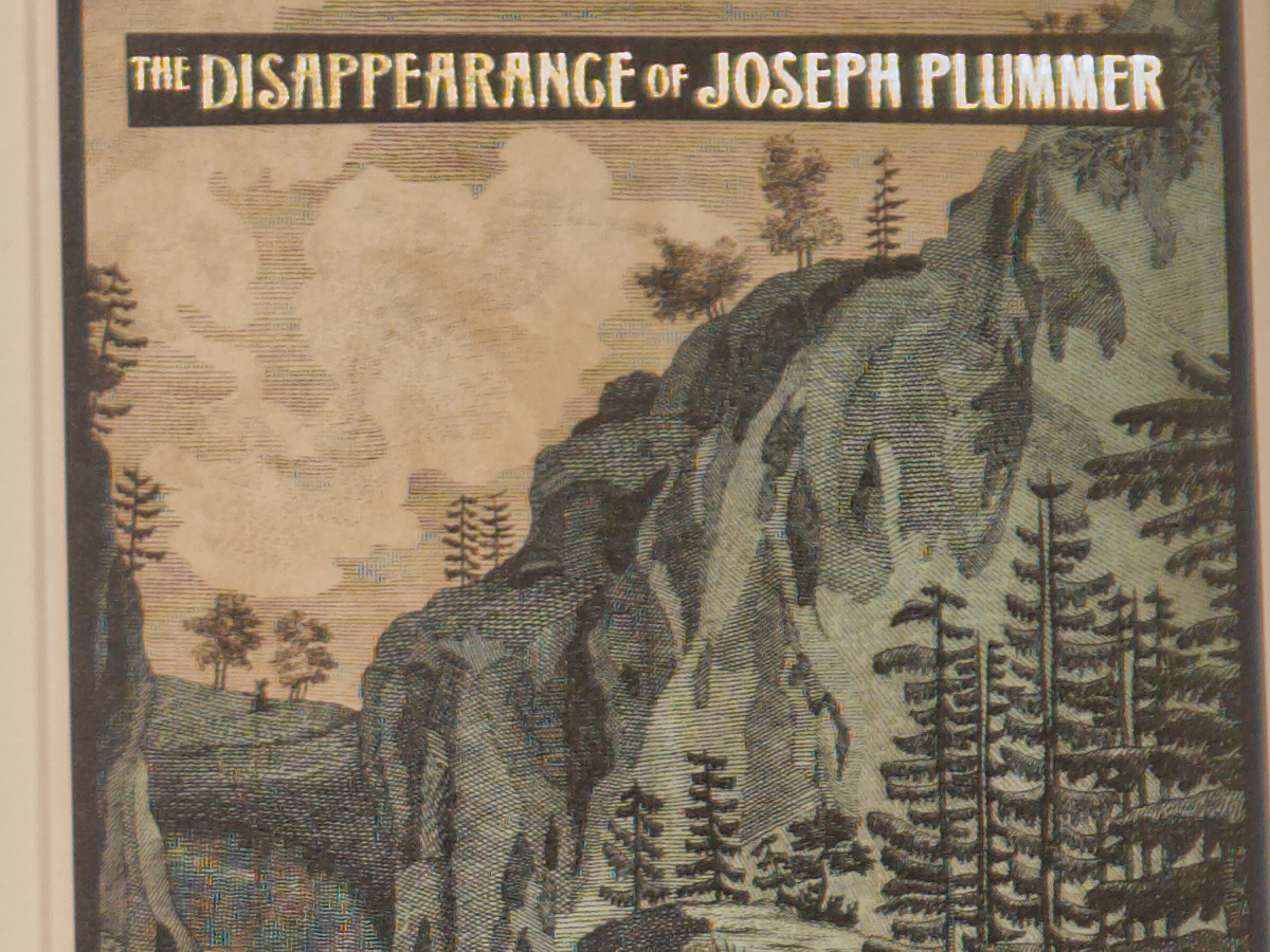 Vivo X300 Pro: scatto a 85mm con risoluzione 50 megapixel, particolare al 100%. File SuperRAW (HDR) .DNG sviluppato con Affinity.