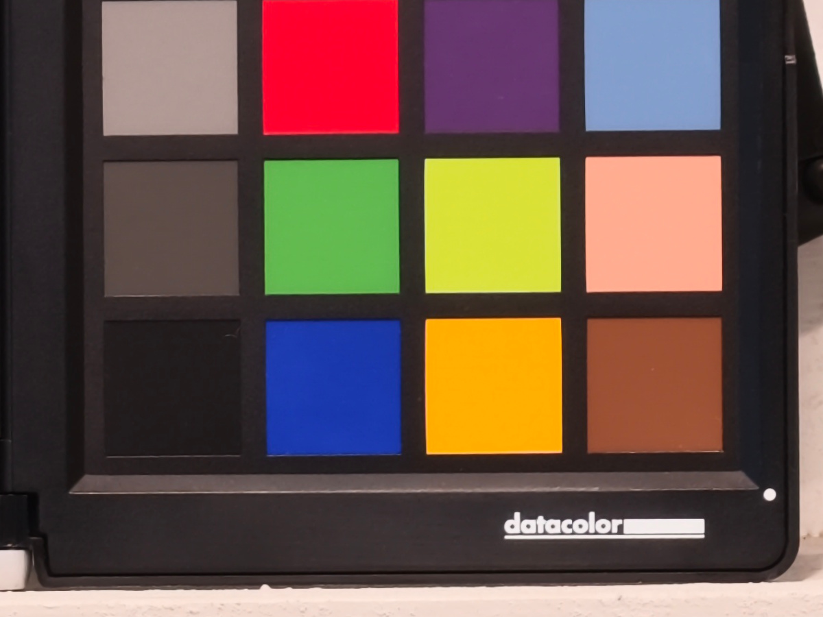 Vivo X300 Pro: scatto a 85mm con risoluzione 50 megapixel, particolare al 100%. File SuperRAW (HDR) .DNG sviluppato in camera dallo smartphone.