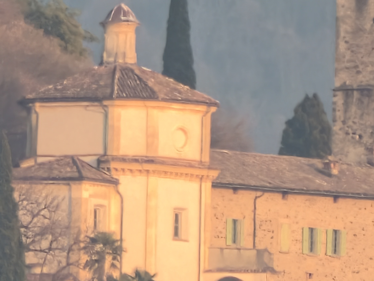 Foto scattata con teleconverter ottico alla focale di circa 200mm alla massima risoluzione di 200 megapixel. Particolare al 100%.