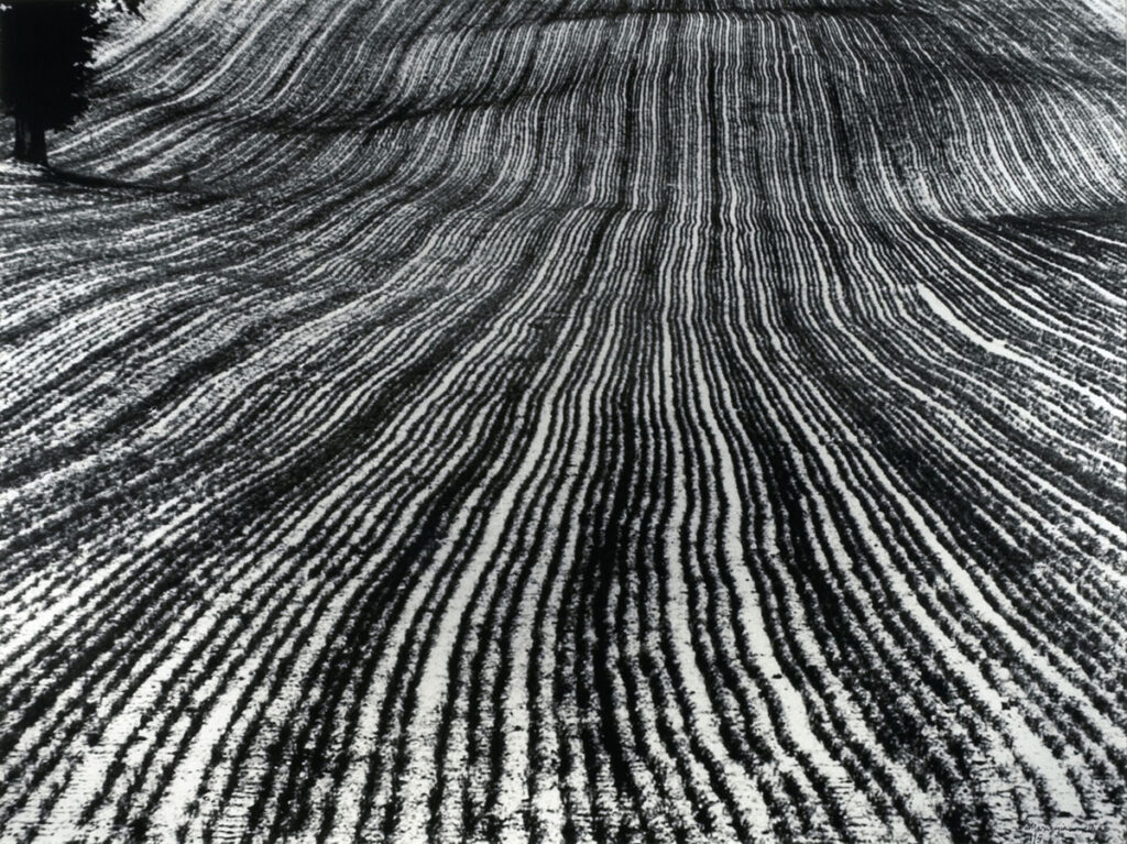 © Mario Giacomelli, Paesaggio 1983-2004