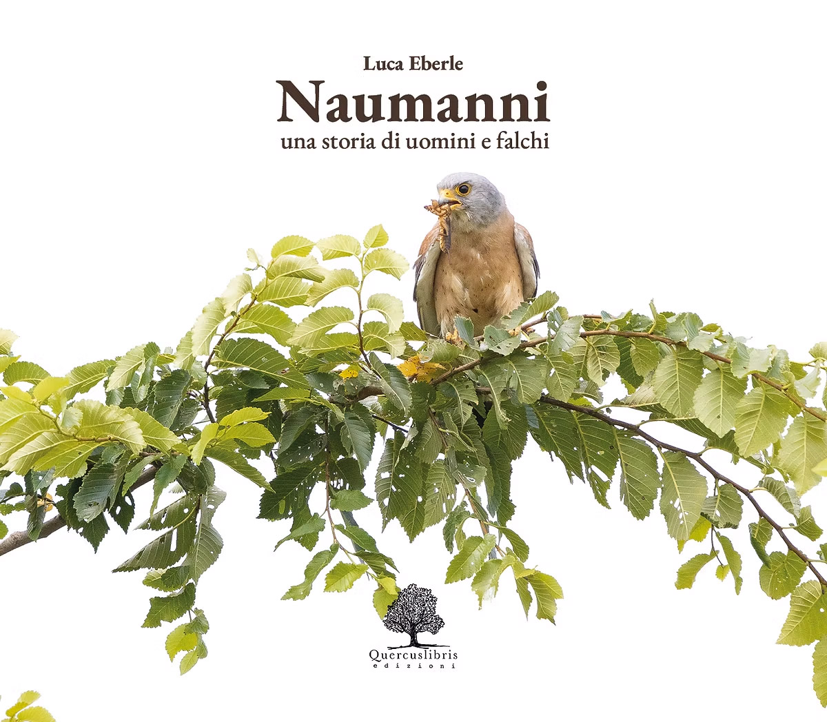 Copertina Naumanni una storia di uomini e falchi libro Luca Eberle