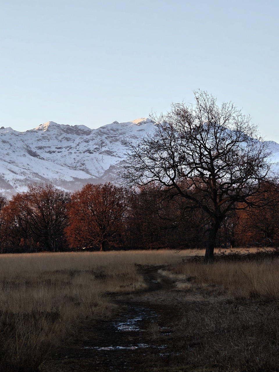 La fotocamera tele del Realme GT 8 Pro a 144mm.