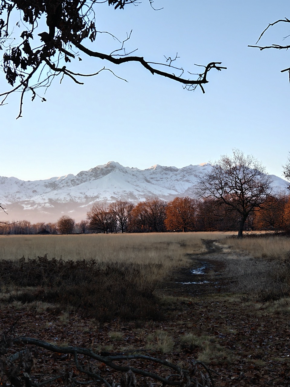 La fotocamera tele del Realme GT 8 Pro a 72mm.