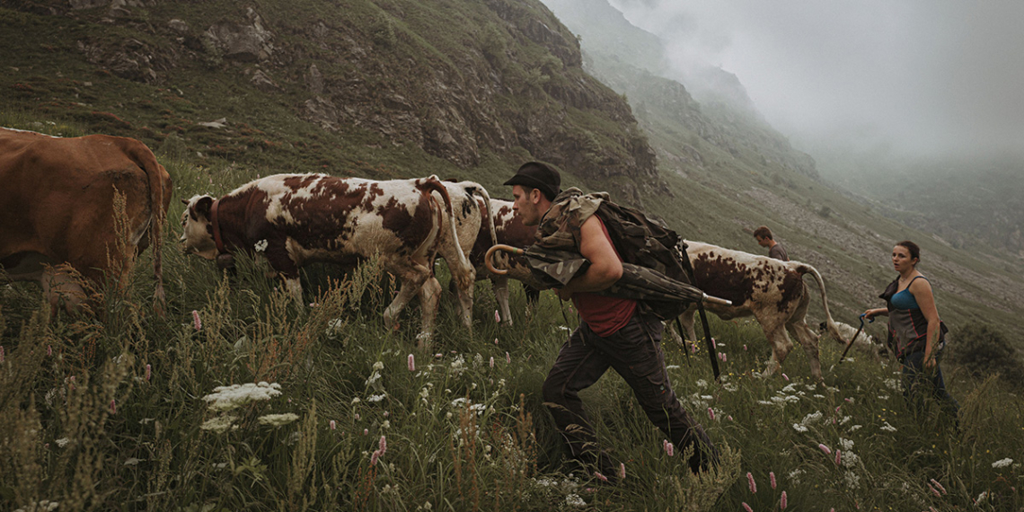 Maurizio Gjivovich A chioce for nature