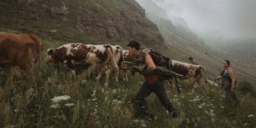 Maurizio Gjivovich A chioce for nature