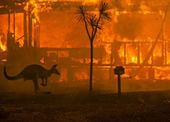 Mostra World Press Photo Becoming Climate