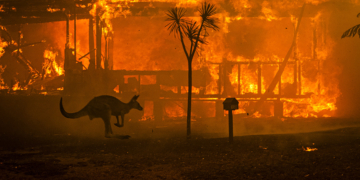 Mostra World Press Photo Becoming Climate