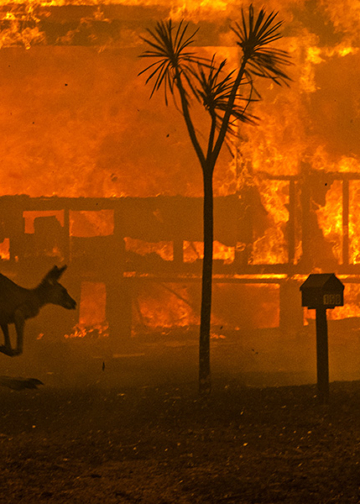 Mostra World Press Photo Becoming Climate