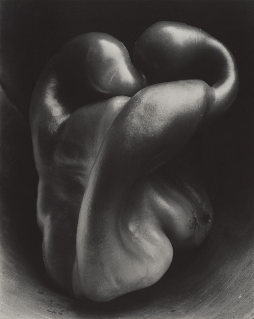 Peperone n. 30, 1930. © Center for Creative Photography, Arizona Board of Regents/© Edward Weston, by SIAE 2026