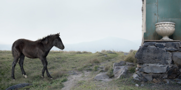 Silvia Camporesi mostra Centro della Fotografia di Roma