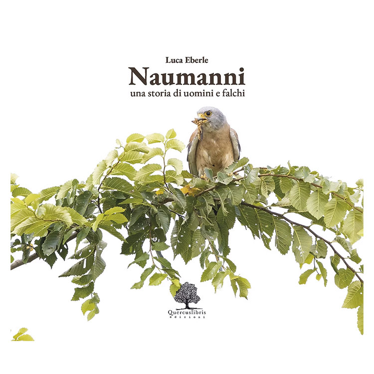 Luca Eberle Naumanni