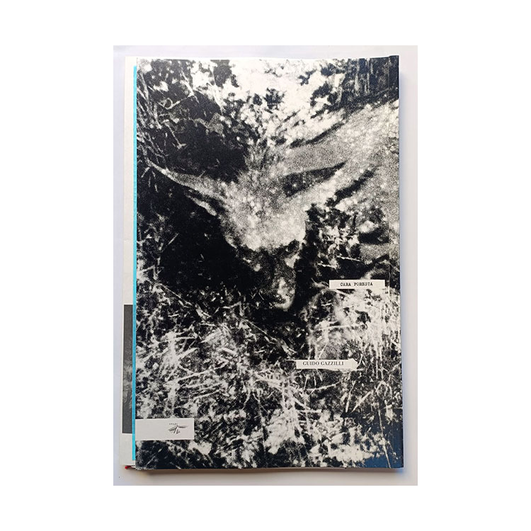 Guido Gazzilli Cara Foresta