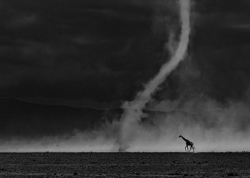 Glanzlichter 2026 vincitori concorso fotografia naturalistica