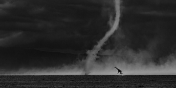 Glanzlichter 2026 vincitori concorso fotografia naturalistica