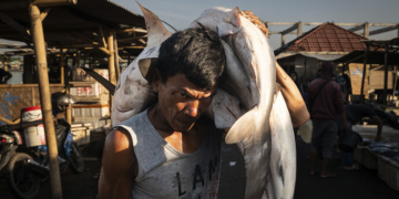 Nicole Tung Overfishing in Southeast Asia