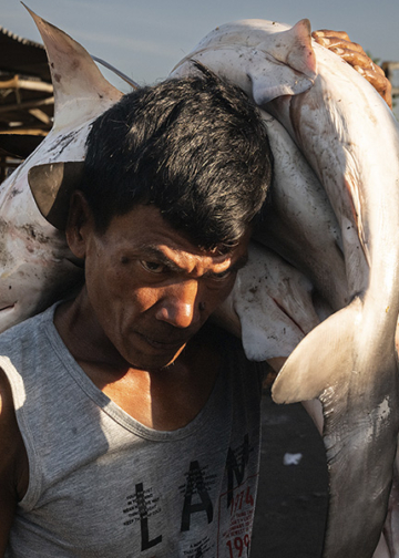 Nicole Tung Overfishing in Southeast Asia