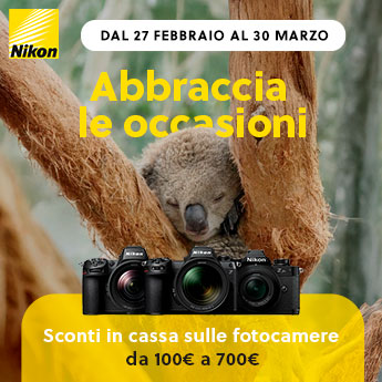 banner nikon koala