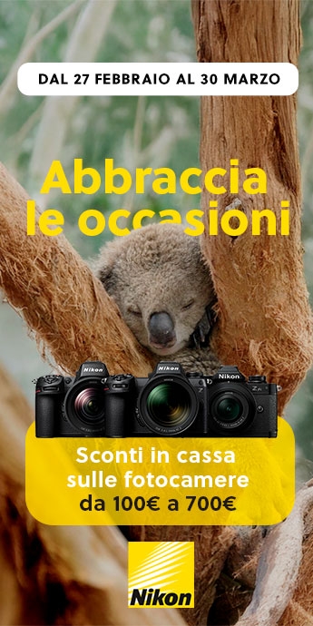 banner NIkon koala