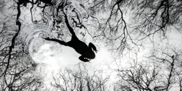 Vincitori British Wildlife Photography Awards 2026