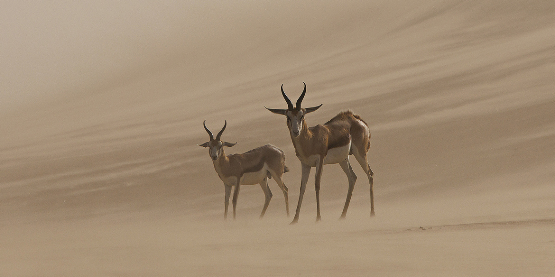 Vincitori concorso Memorial Maria Luisa 2026