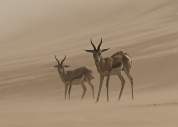 Vincitori concorso Memorial Maria Luisa 2026