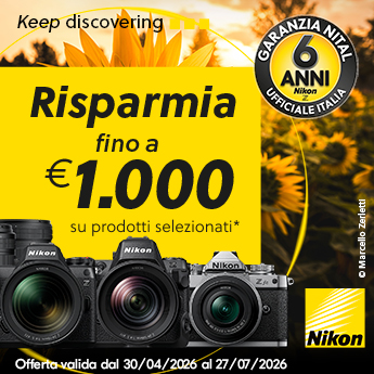 banner nikon koala