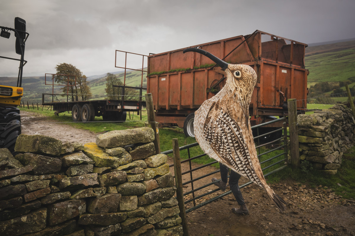 Curlew Man. © Morgan Heim, finalista categoria Changemakers, The Environmental Photography Award 2026