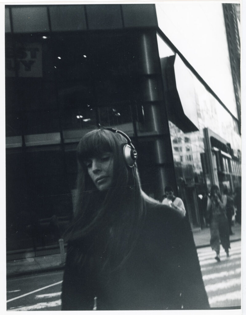 Il volo dell’oca selvatica. © Gabriele Stabile