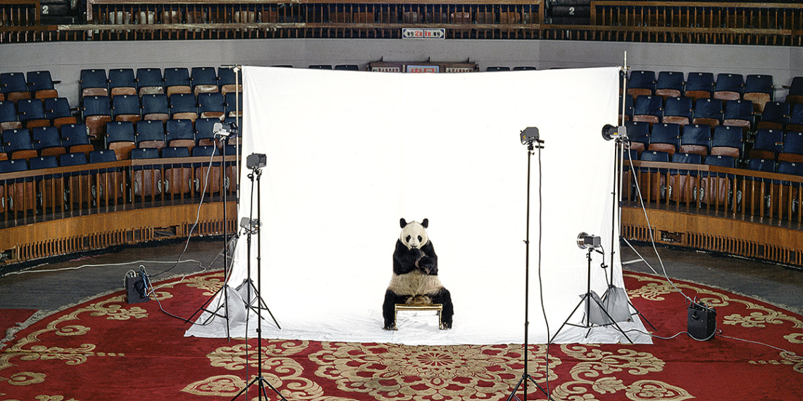 Impronte. Fotografie di James Balog mostra fotografica MAcA - Environmental Museum Torino