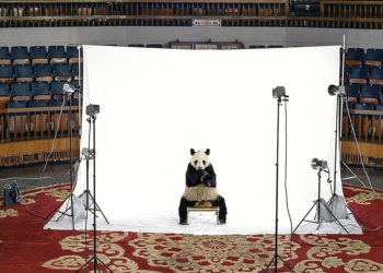 Impronte. Fotografie di James Balog mostra fotografica MAcA - Environmental Museum Torino