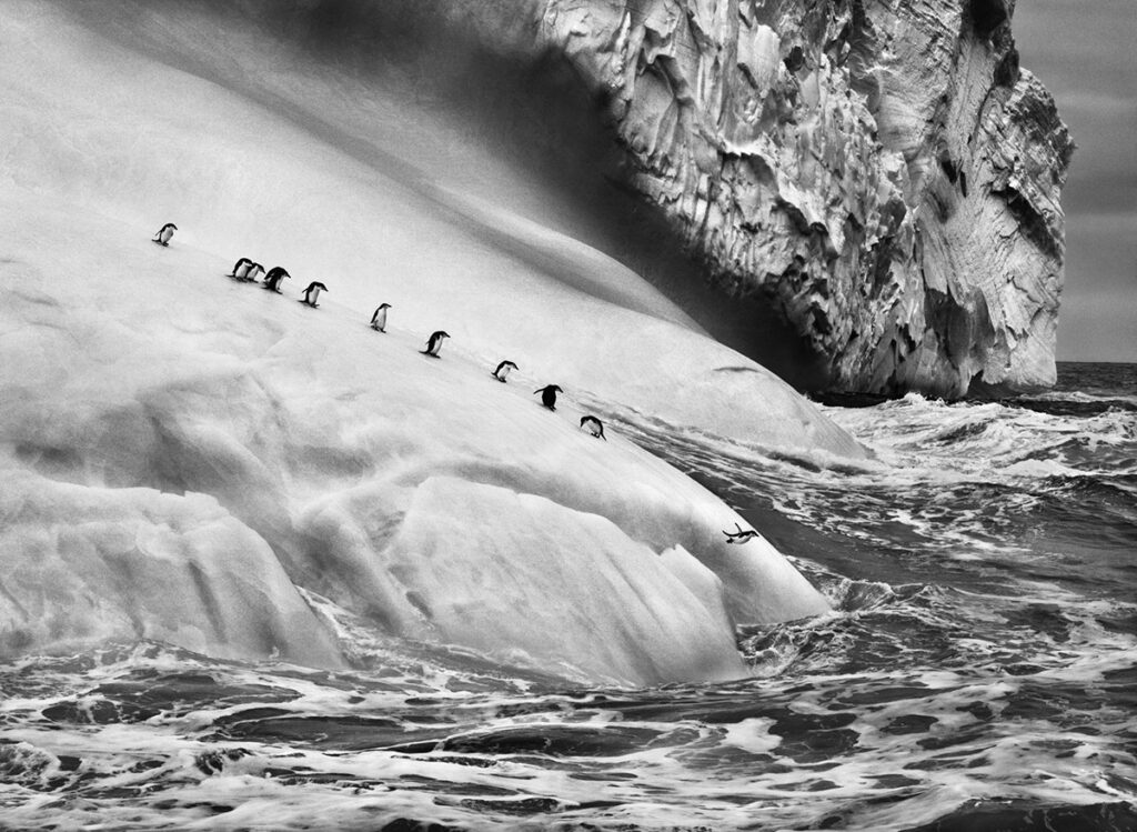 Penisola Antartica, 2005 © Sebastião Salgado