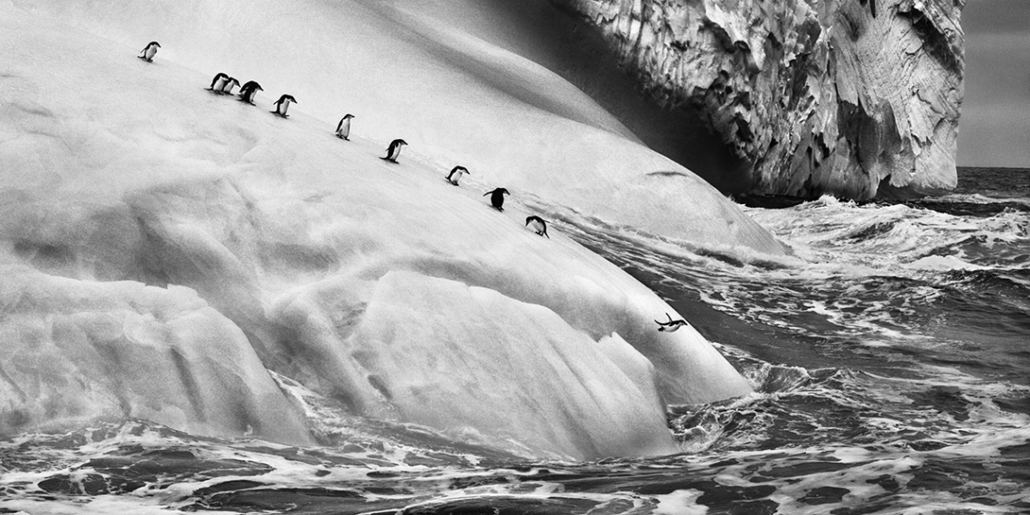 Sebastiao Salgado Ghiacciai