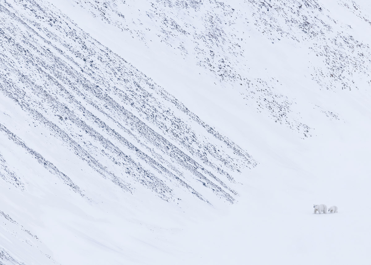 The Explorers. © Panos Laskarakis, finalista categoria Polar Regions, The Environmental Photography Award 2026