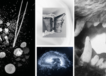 Diciotto scatole piene di visioni della GenZ