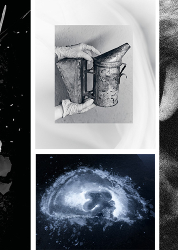 Diciotto scatole piene di visioni della GenZ