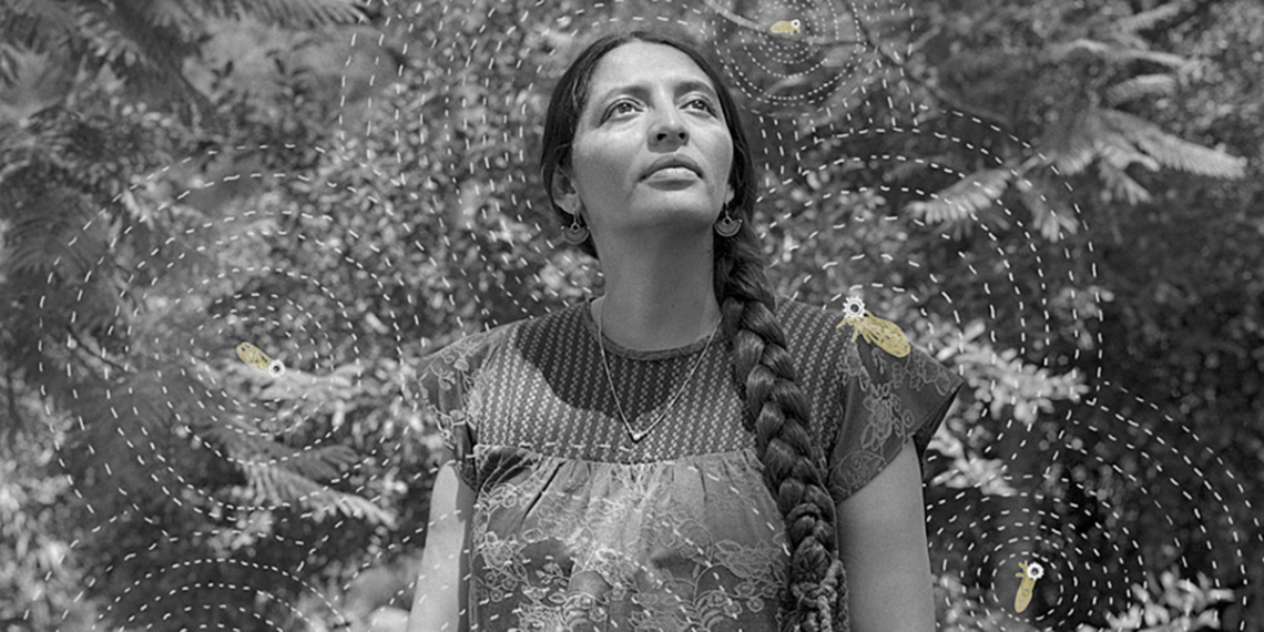 Vincitori Sony World Photography Awards 2026