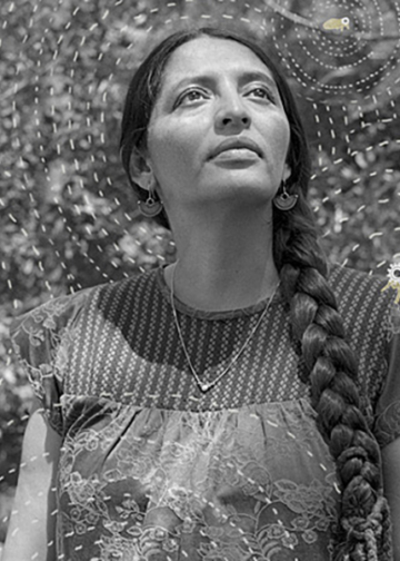 Vincitori Sony World Photography Awards 2026