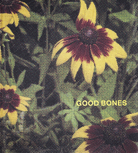 Good Bones copertina libro Nick Meyer Nowhere Books