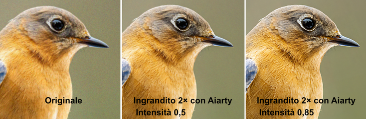 banner aiarty