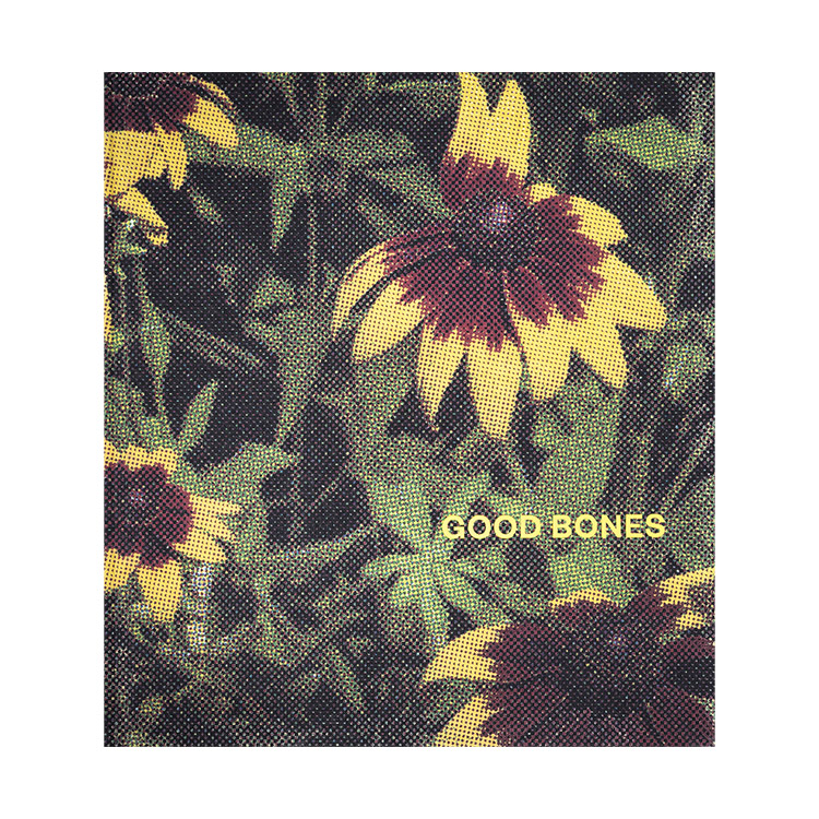 Good Bones Nick Meyer