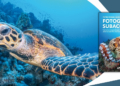 Fotografia subacquea. Tecniche e strumenti per ritrarre il mondo sotto la superficie dell’acqua
