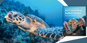 Fotografia subacquea. Tecniche e strumenti per ritrarre il mondo sotto la superficie dell’acqua