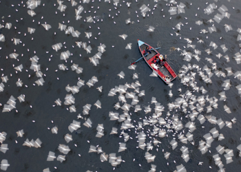 I vincitori dell’International Aerial Photographer of the Year 2026