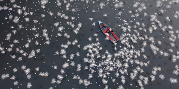 I vincitori dell’International Aerial Photographer of the Year 2026