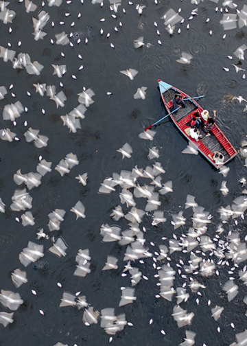 I vincitori dell’International Aerial Photographer of the Year 2026