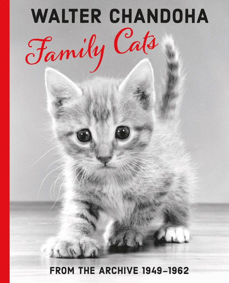 Copertina Walter Chandoha Family Cats From the Archive 1949-1962
