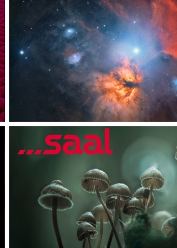 Saal Digital European Photo Awards 2026: sei categorie e 2.000 euro in premi per i vincitori