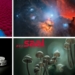 Saal Digital European Photo Awards 2026: sei categorie e 2.000 euro in premi per i vincitori