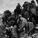 Dark Tales mostra fotografica gotico e fotografia documentaria Martin Parr Foundation