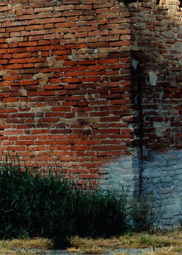 Guido Guidi A Luzzara